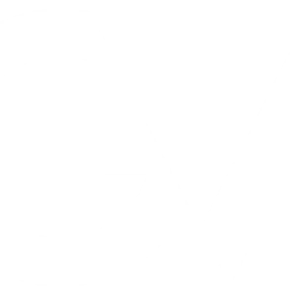 Giorgio Vanti