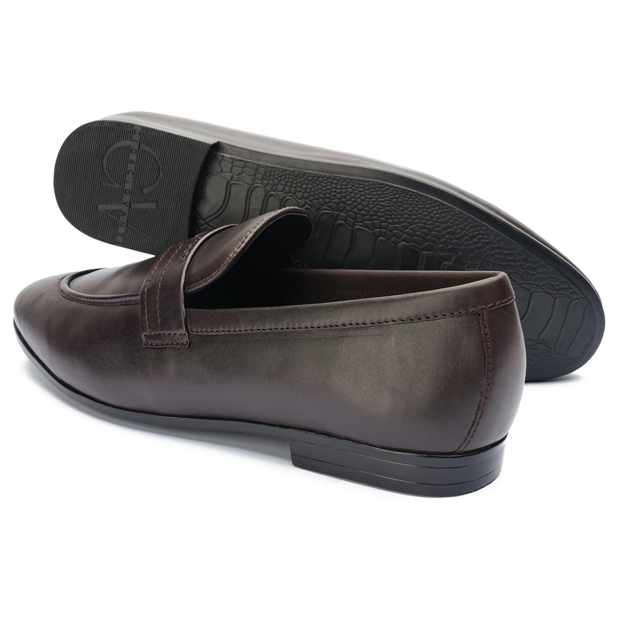 ZANDON - MSD - Image 5